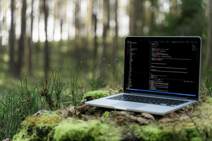 A laptop with code on the screen, nestled among moss in the forest
